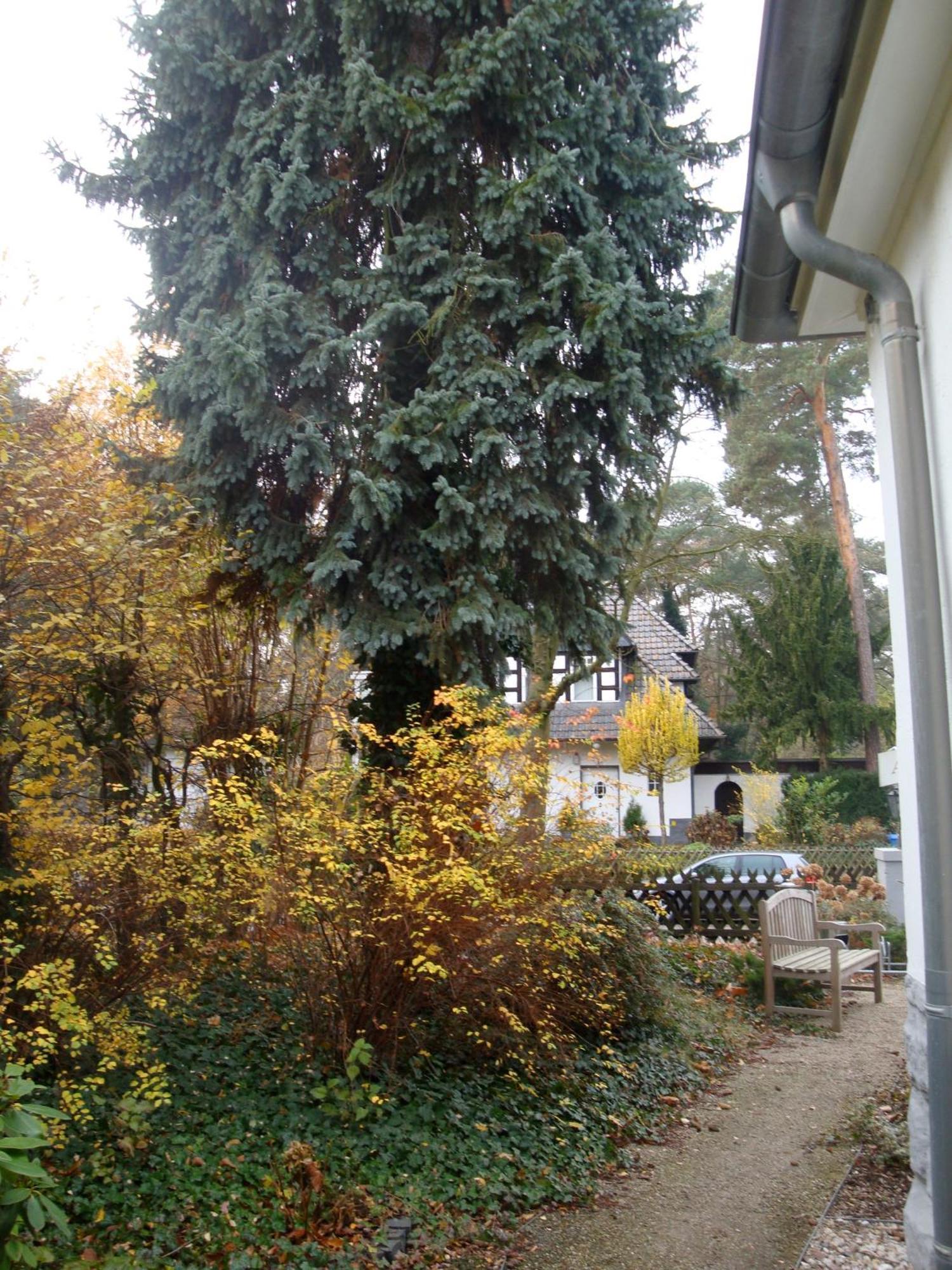Guest house Landhaus Schlachtensee Berlin
