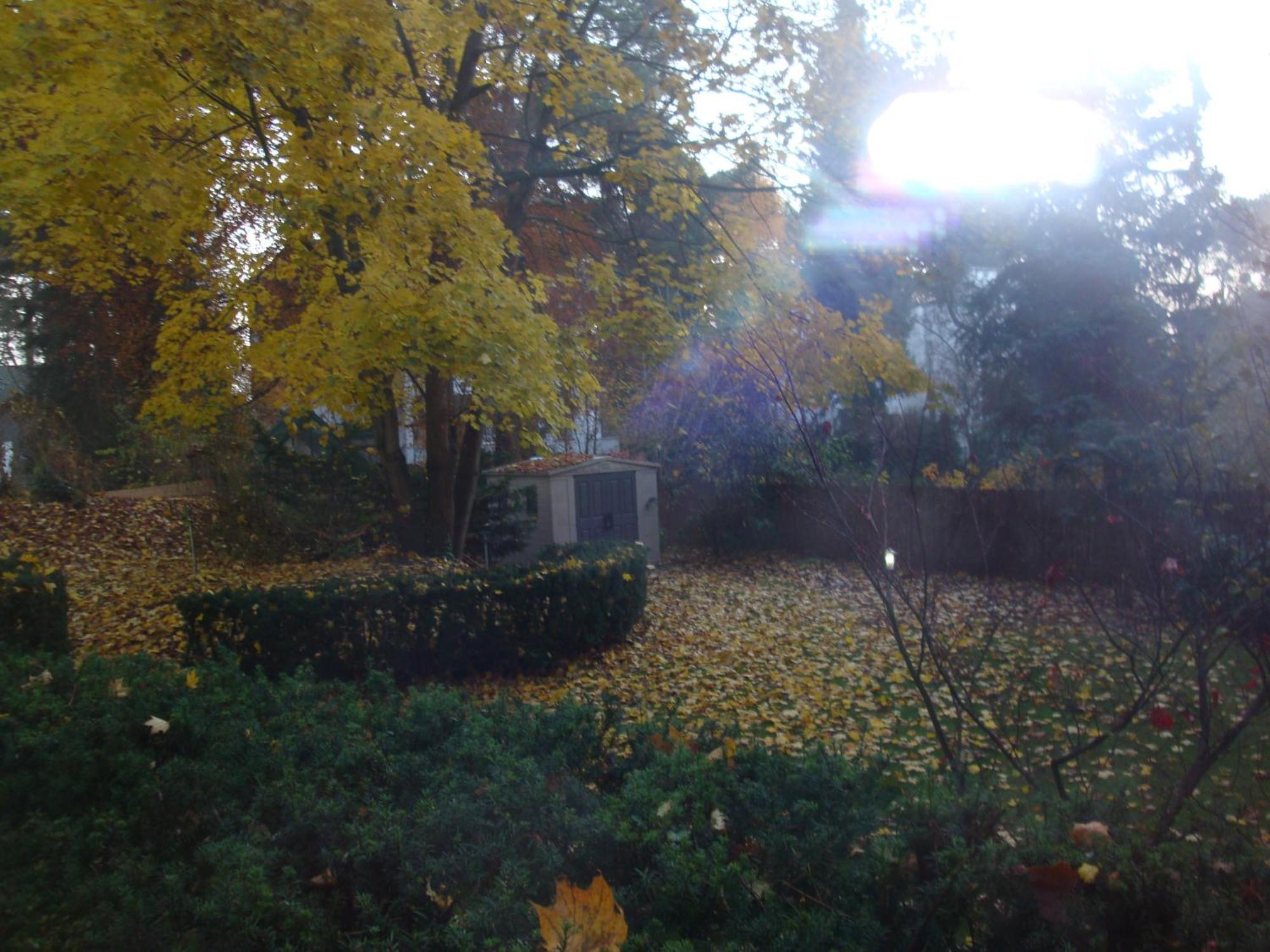 Gasthof Schlachtensee